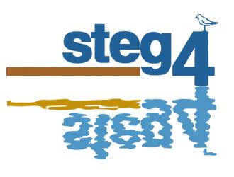 Logo_Steg4.jpg