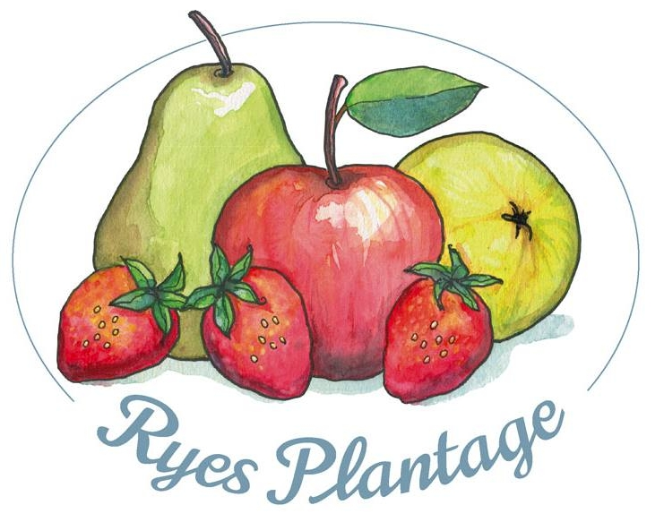 Ryes Plantage logo1.png