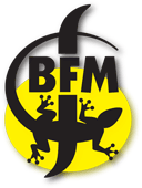 Logo-BFM.gif