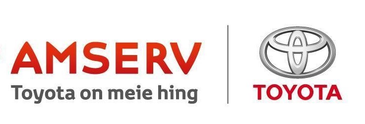 Amservi logo.jpg