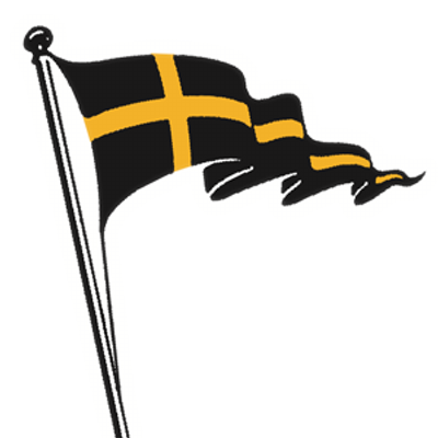 SVAOe-Flag-Logo.png