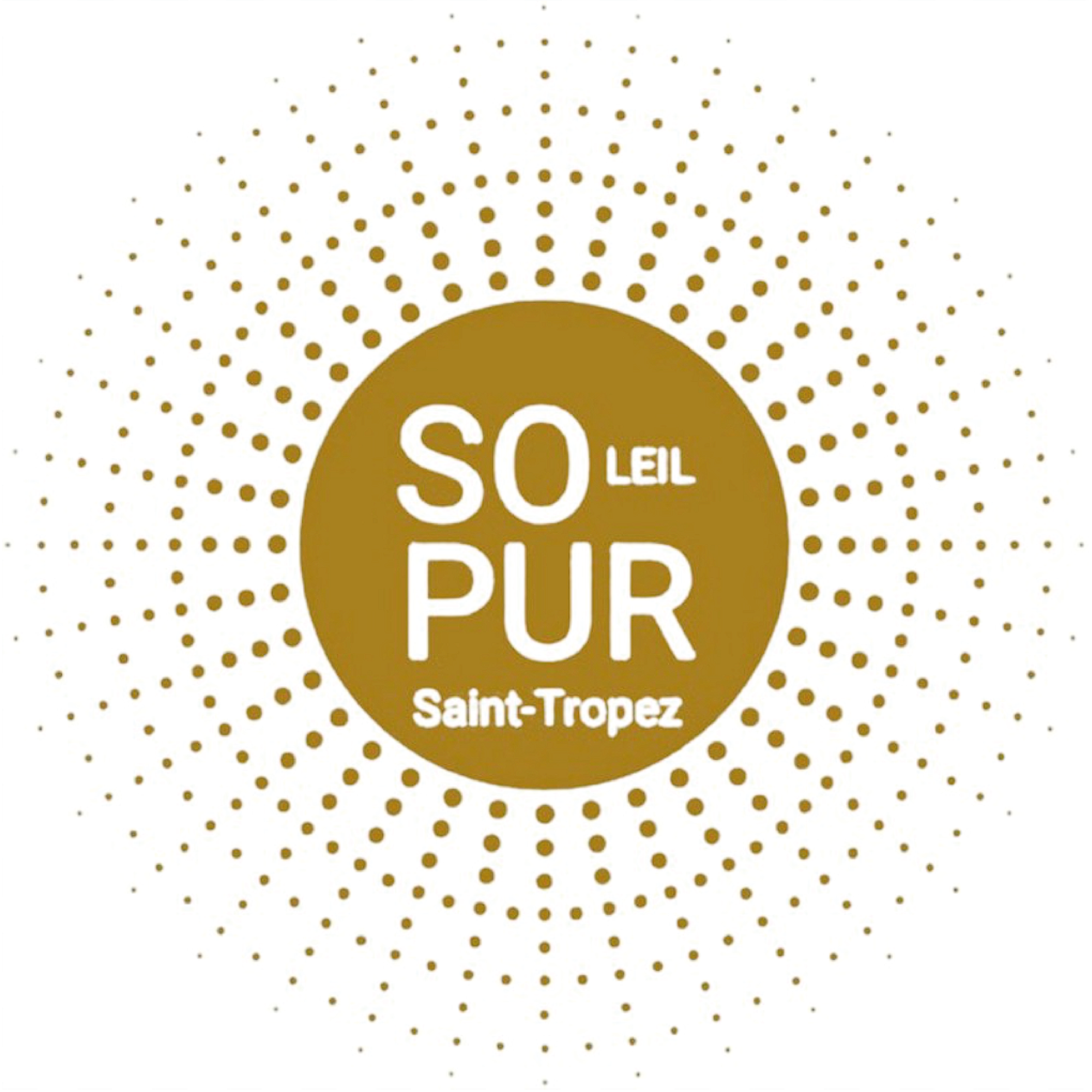 15 - Logo Soleil Pur.png