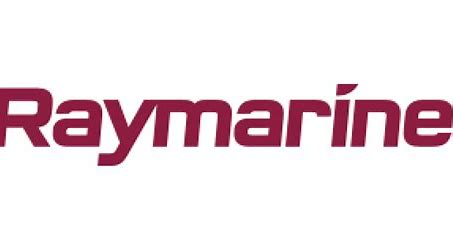 Raymaine logo.jfif