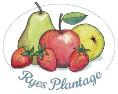 Ryes Plantage