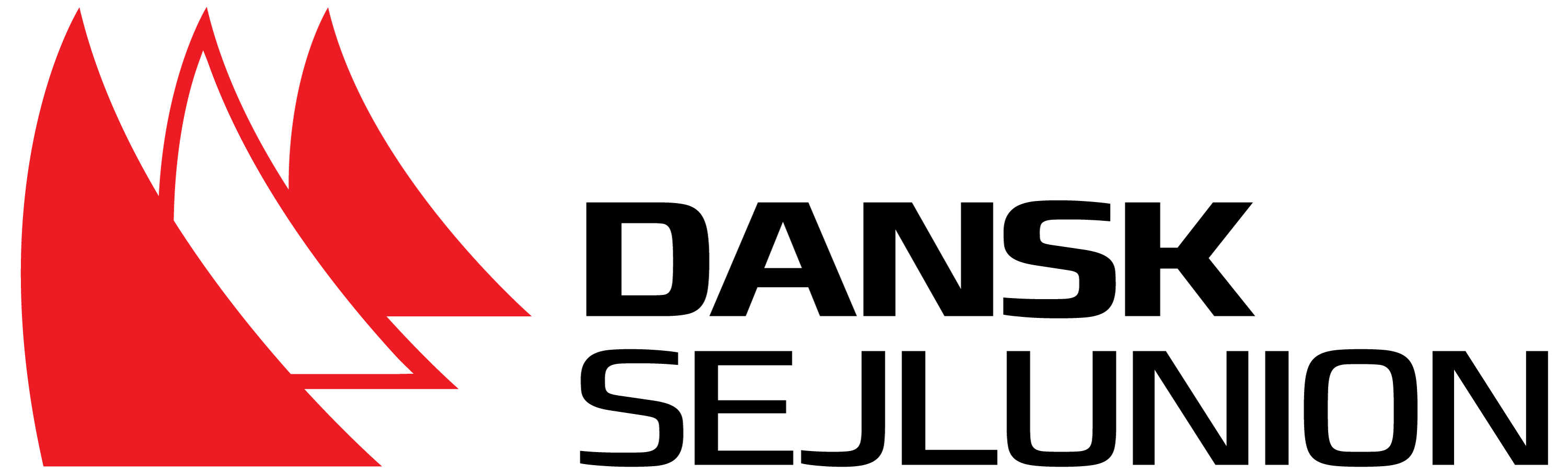 DS logo